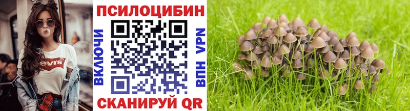 Купить где  Вуктыл  Галлюциногенные грибы прущие грибы 